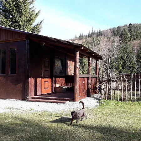 Alojamento de Turismo Selvagem Zbójnicki Ostęp-nocleg Trapera Kletno