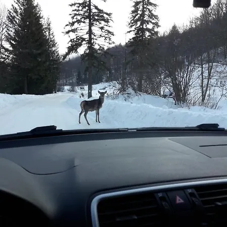 Zbojnicki Ostep-nocleg Trapera Kletno