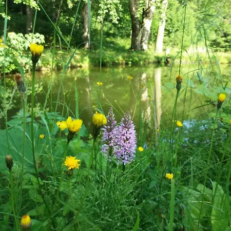 Alojamento de Turismo Selvagem Zbójnicki Ostęp-nocleg Trapera Kletno