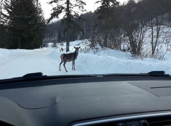 Zbójnicki Ostęp-nocleg Trapera Kletno