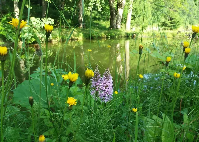 Lodge Zbojnicki Ostep-nocleg Trapera Kletno