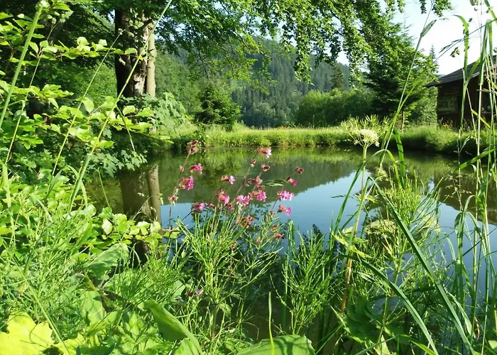 Zbójnicki Ostęp-nocleg Trapera Kletno